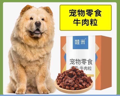 狗狗几个月大训好？训练的最佳时间是什么时候？