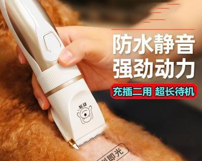 狗狗脚趾毛剃毛器怎么用？使用过程中常见问题有哪些？