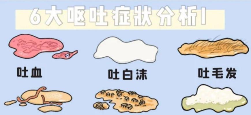 小猫吐出猫粮后应喂食什么？