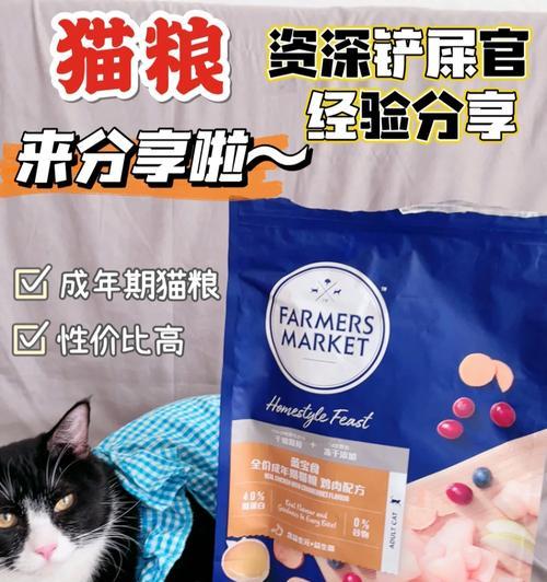 猫咪换粮后大便不成形应该怎么办？