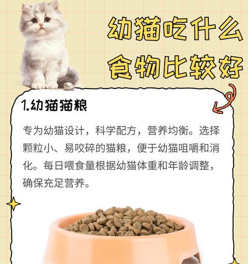 幼猫呕吐后应如何选择猫粮以避免不适？