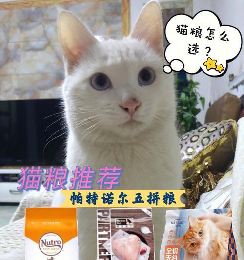 猫换粮大便不成形怎么办吃什么药管用