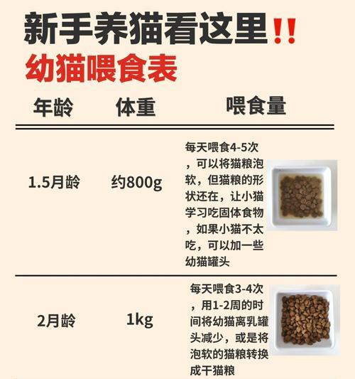 幼猫拒食猫粮应如何快速解决？