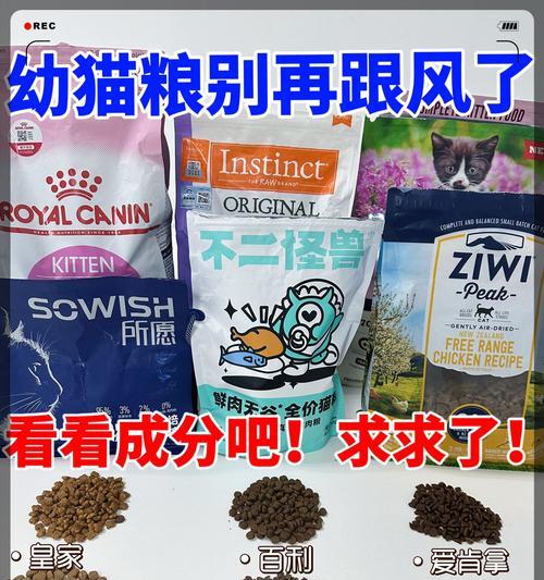 幼猫拒食猫粮应如何快速解决？