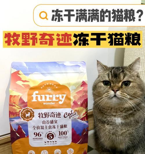 哪种果冻猫粮更受猫咪欢迎？