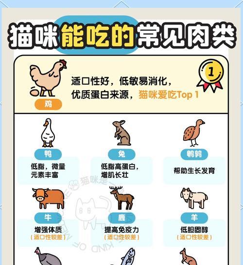 换猫粮后猫咪大便不成形正常吗？需要吃什么药？