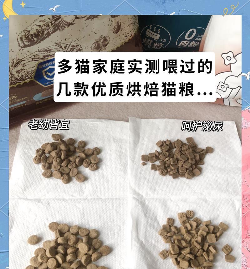 猫咪品种与猫粮选择的关系是什么？