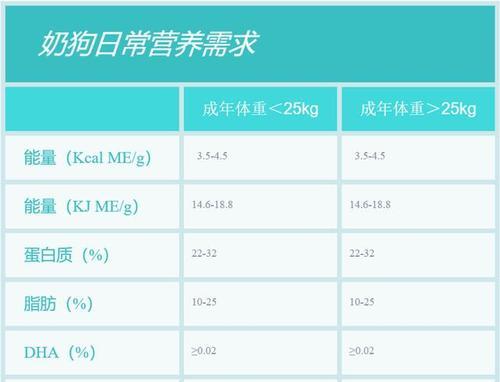 土狗从骨头汤过渡到狗粮：最佳时机是什么时候？