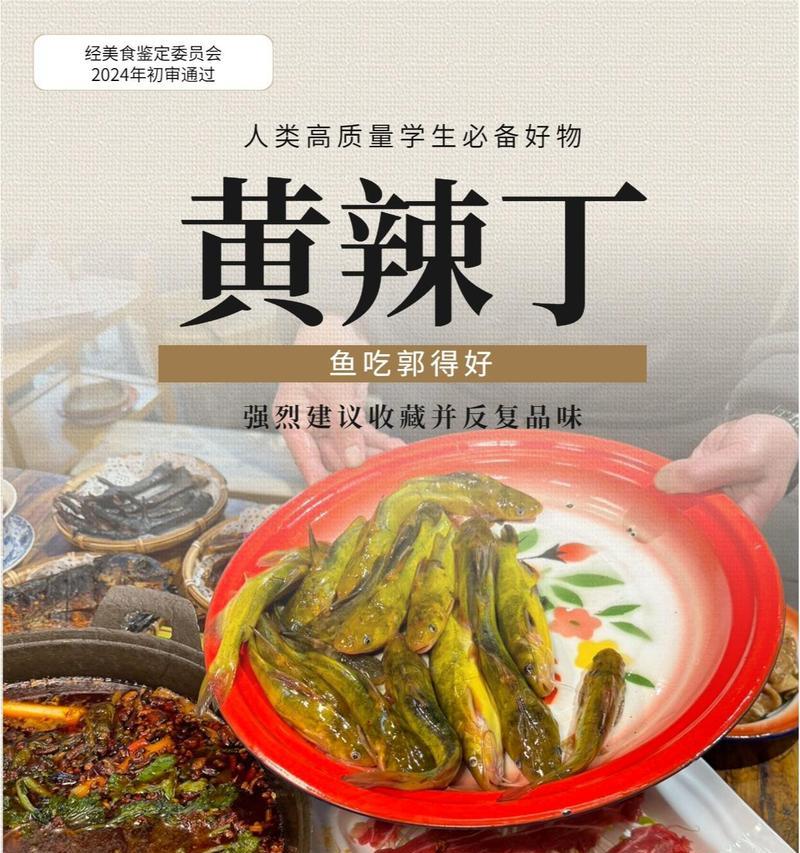 黄辣丁鱼属于辛辣食物吗为什么