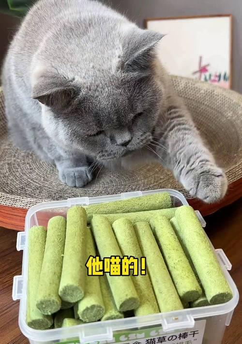 幼猫吃完猫草磨牙棒后呕吐是否正常？