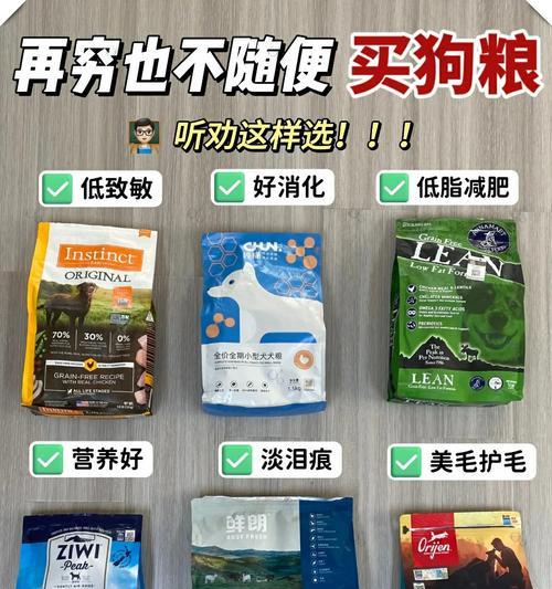 狗狗食欲不振应该喂哪种狗粮？