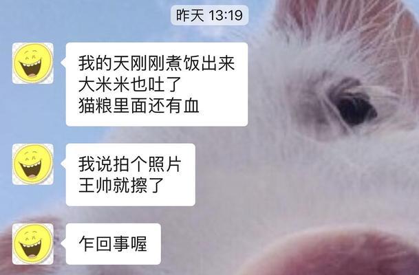 小猫长时间吃同一种猫粮不吃怎么办？