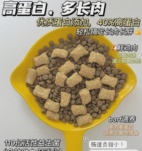 幼猫食欲不振：识别和解决猫粮问题？