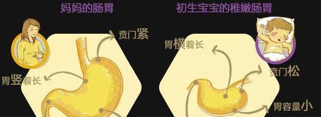 幼猫食欲不振：识别和解决猫粮问题？