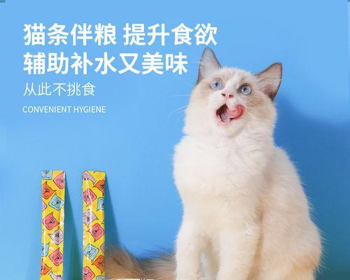 幼猫不吃猫粮可以吃米饭吗怎么办