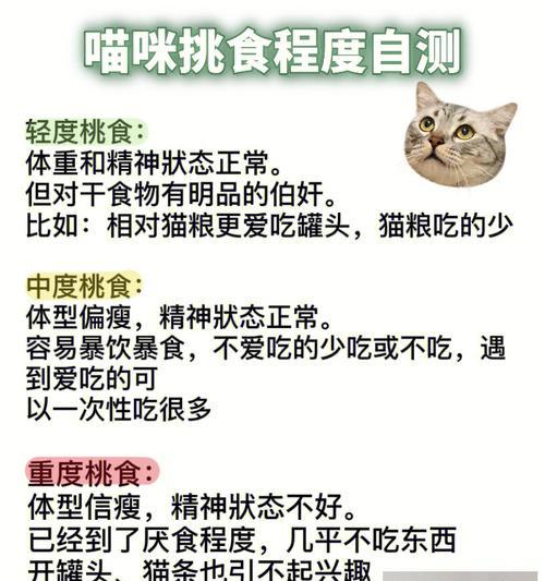 猫咪换粮后大便不成形的解决方法是什么