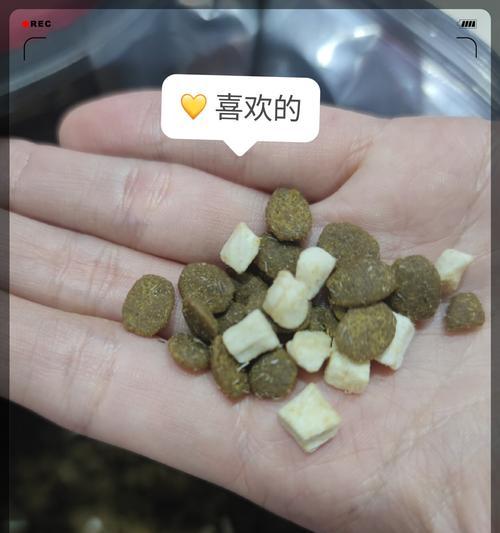 猫换粮导致拉软便不吃不喝怎么办？