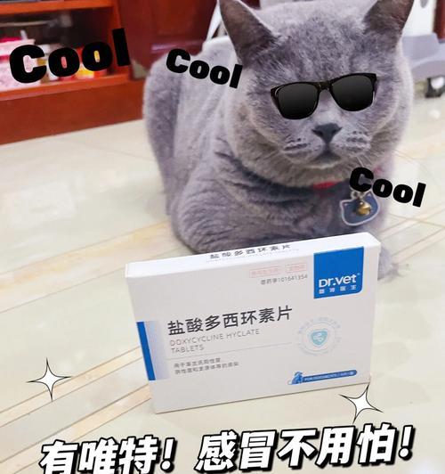 猫咪大便不成形吃什么药有效？