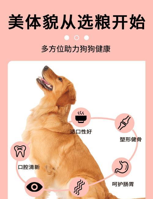 土狗为何吃狗粮不长肉？