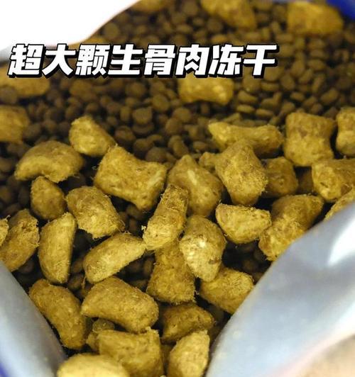 小猫拒食猫粮：如何识别和应对？