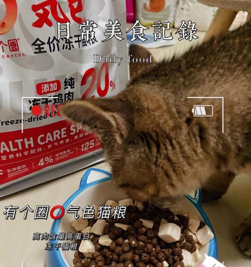 猫咪拒食干猫粮：强行喂食的技巧？