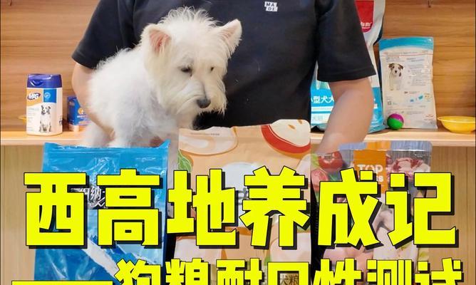 小型犬尝试大狗狗粮的安全性如何？