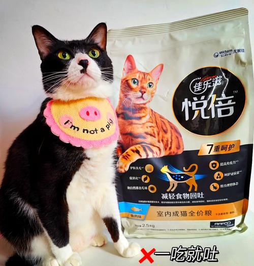 猫吐出的猫粮颜色异常意味着什么？