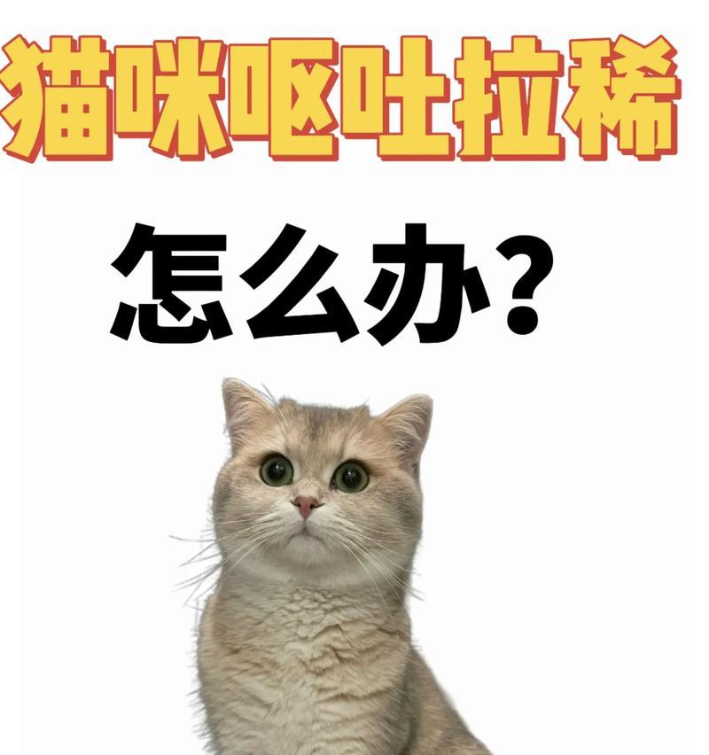 猫吐出的猫粮颜色异常意味着什么？