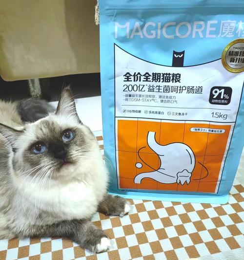 小猫咪拒食猫粮，如何强行喂食？