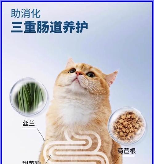 猫粮颜色影响猫的健康吗？