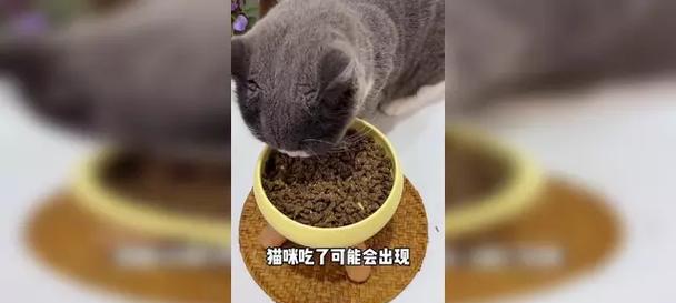 小猫不爱吃猫粮，有哪些表现？