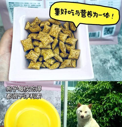 狗狗食欲不振时如何选择合适的狗粮？