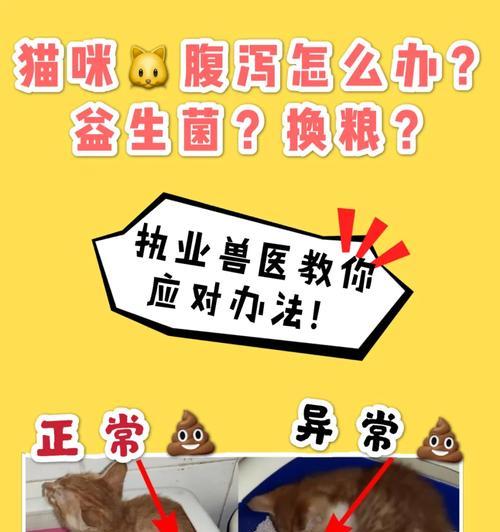 换粮后猫大便软不成形正常吗？如何处理？