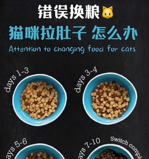 猫咪换粮导致大便不成形的原因是什么？