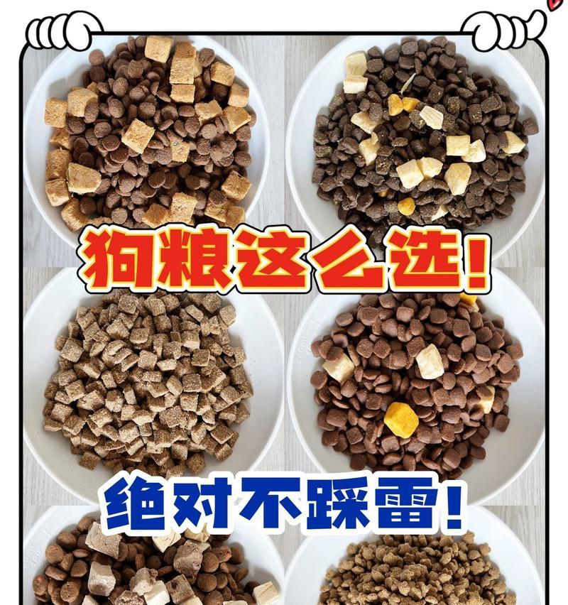 纯种狗狗应该选择哪种狗粮？