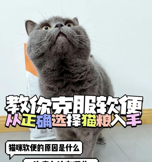 换猫粮猫咪大便不成形怎么办？有没有家庭疗法可以尝试？