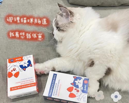 换猫粮猫咪大便不成形怎么办？有没有家庭疗法可以尝试？