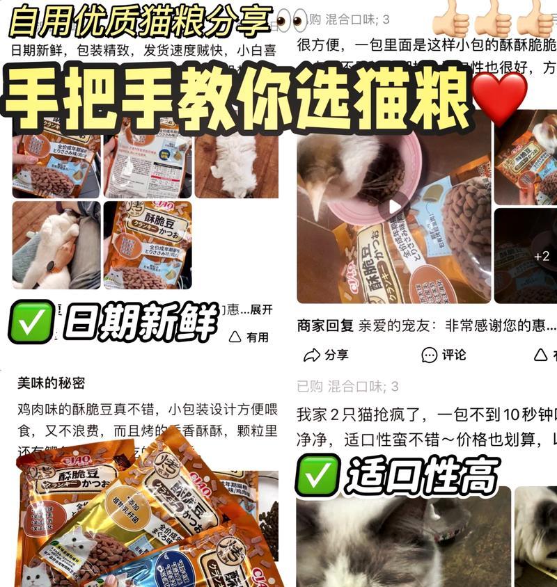 猫咪成长各阶段：如何选择适合的品种猫粮？