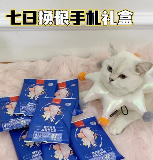 猫换粮后不排便怎么办？需要立即就医吗？