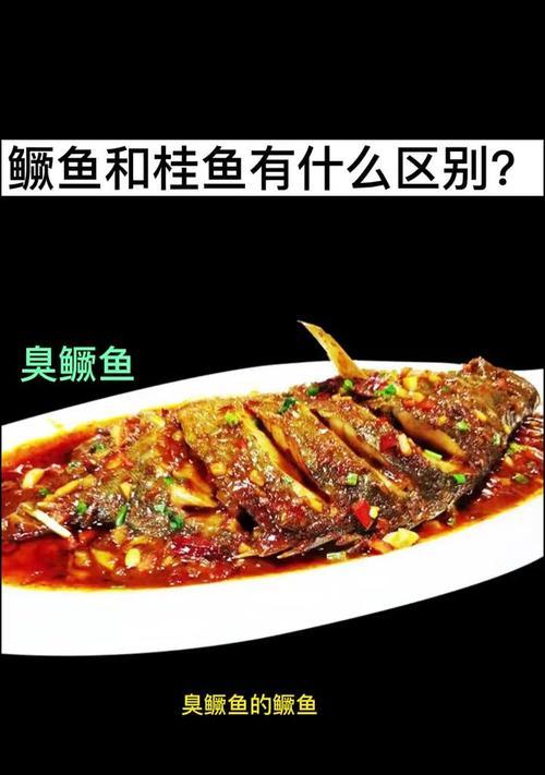 桂花鱼和鳜鱼食用时需注意哪些禁忌？