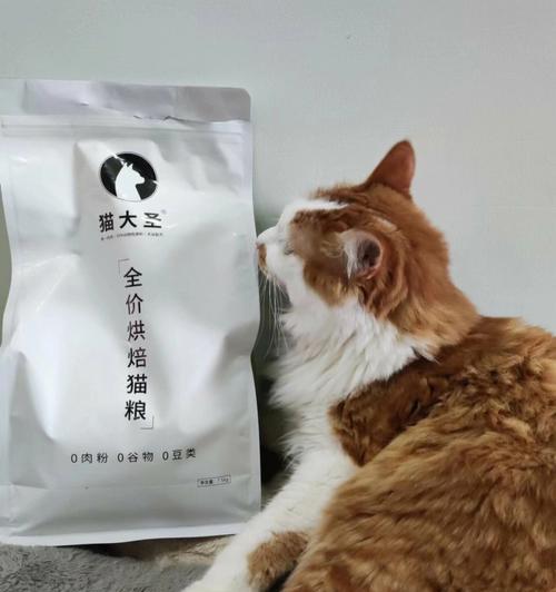 猫换粮大便不成形是否需要特别关注？