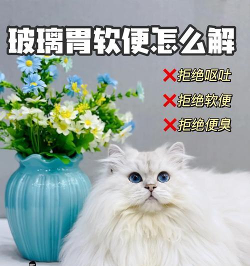 猫粮更换后大便不成形应如何处理？