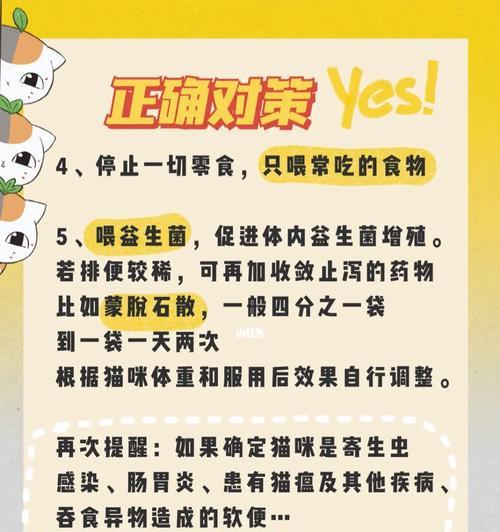 猫咪换粮便便软不成形？这是什么原因导致的？