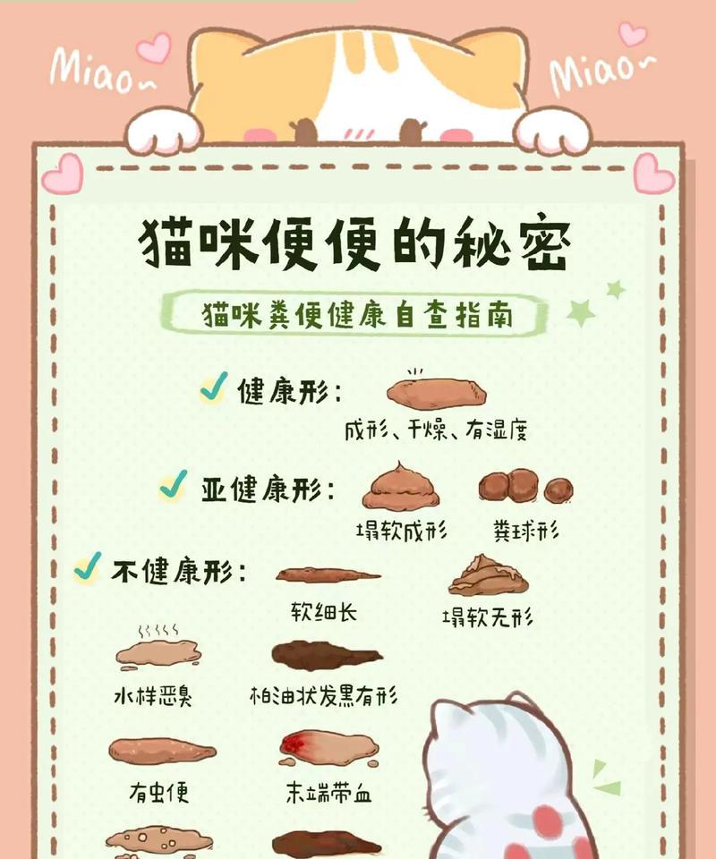 猫咪换粮便便软不成形？这是什么原因导致的？