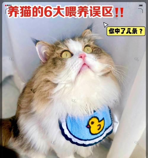 猫咪换粮2周后大便不成形？这是正常现象吗？