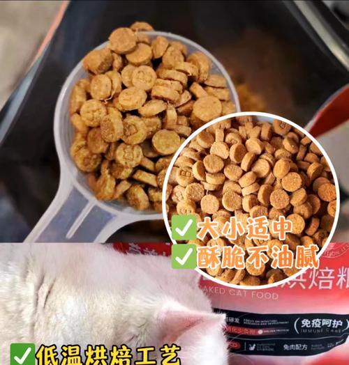 猫咪换粮2周后大便不成形？这是正常现象吗？