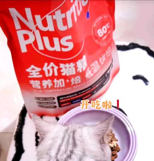 猫咪换粮导致消化不良怎么办？