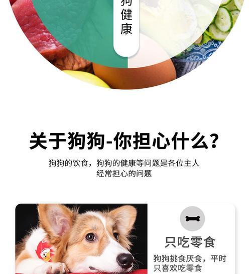 小土狗适合吃小型犬狗粮吗？