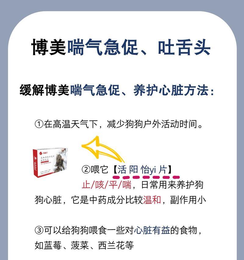 博美犬腹泻呕吐应如何治疗，吃什么药？