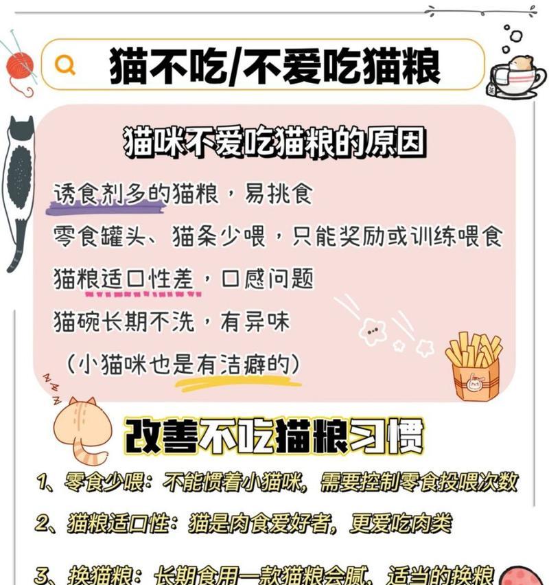 猫粮有异味怎么办？可能是哪些原因造成的？